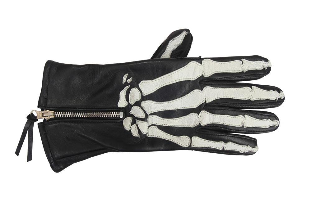 XRAY GLOVE